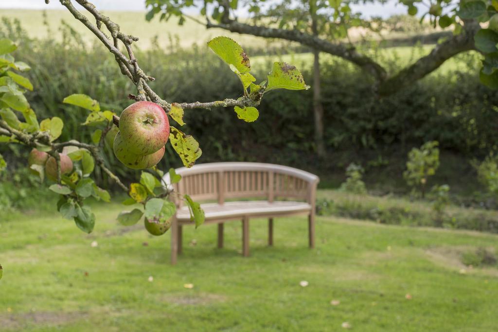 The Linhay Eastleigh Appartamento Bideford Esterno foto